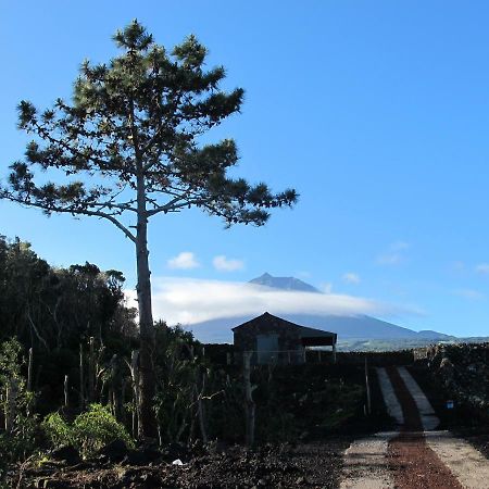 Lajido Baco'S Vineyardヴィラ エクステリア 写真