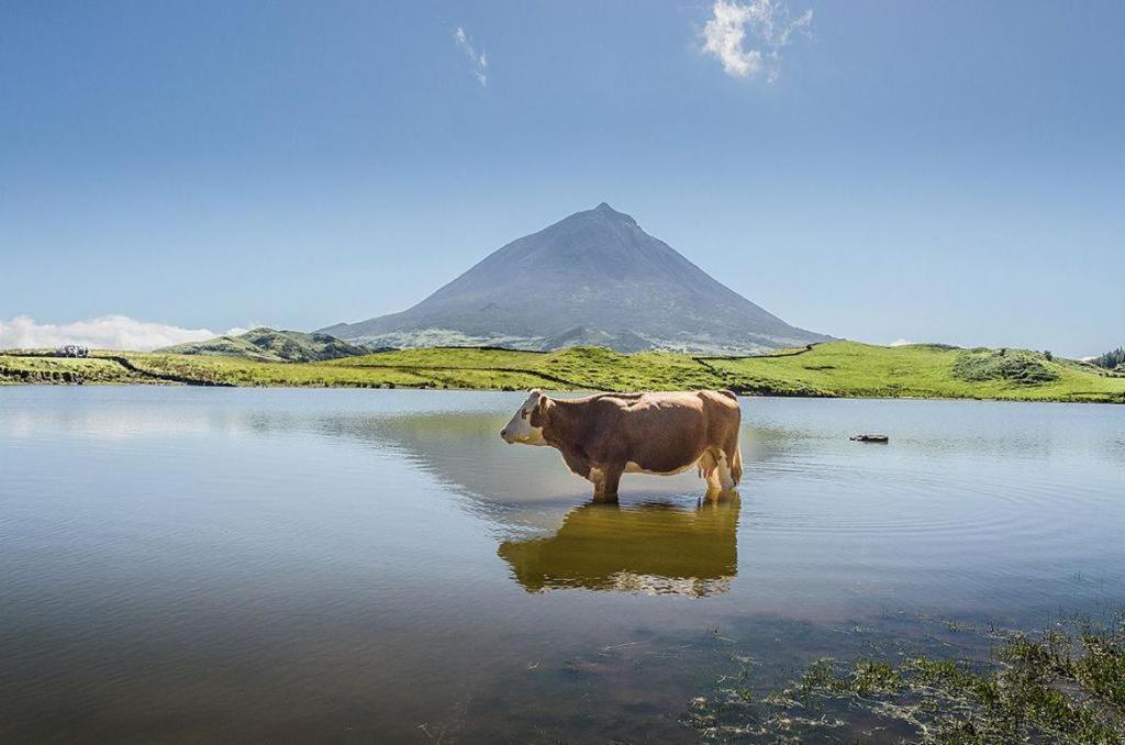 Lajido Baco'S Vineyardヴィラ エクステリア 写真