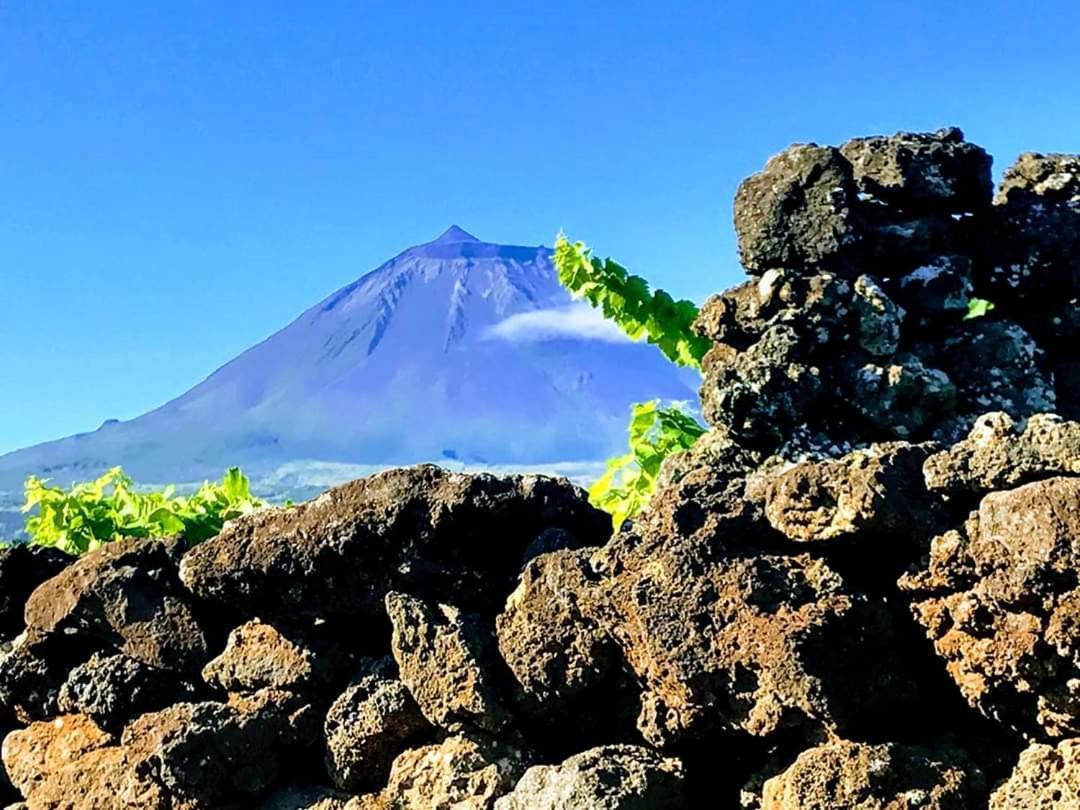 Lajido Baco'S Vineyardヴィラ エクステリア 写真