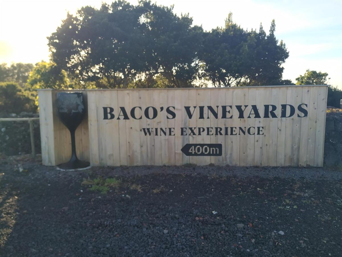 Lajido Baco'S Vineyardヴィラ エクステリア 写真