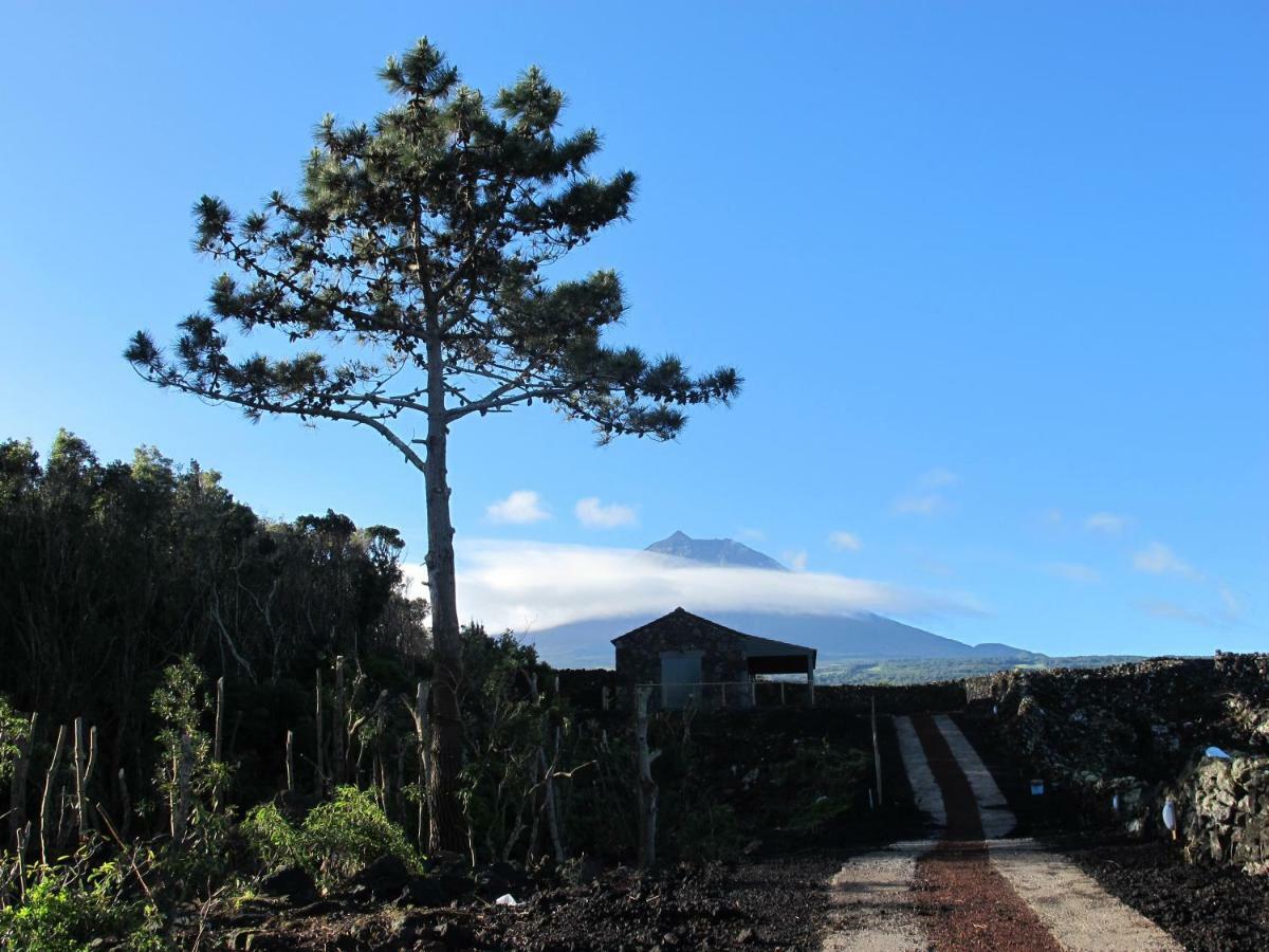 Lajido Baco'S Vineyardヴィラ エクステリア 写真